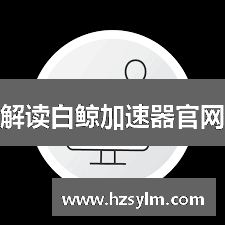 解读白鲸加速器官网